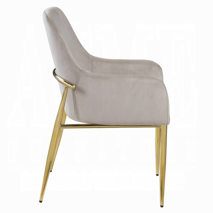 Barnard Side Chair (Set-2)