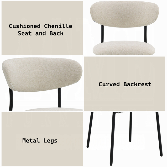 Jirina Side Chair (Set-2)