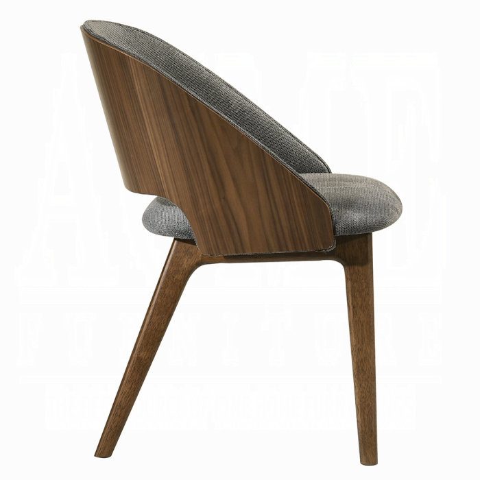 Delmon Side Chair (Set-2)