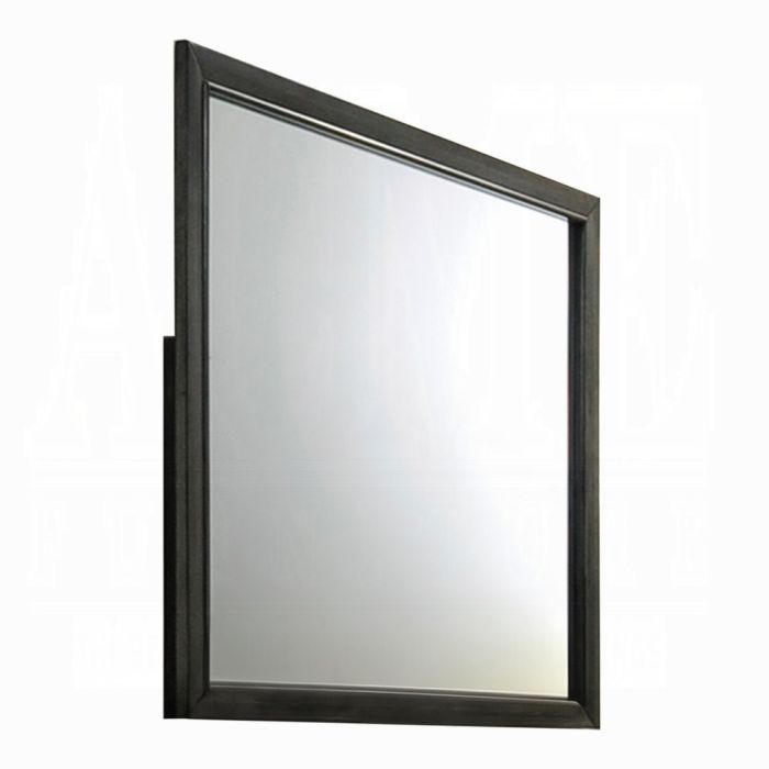 Carine II Mirror