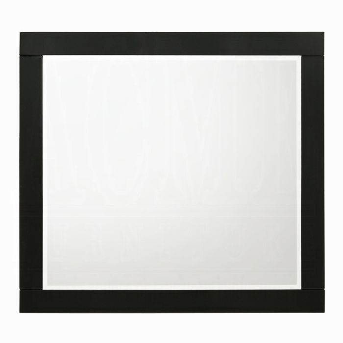 Chelsie Mirror