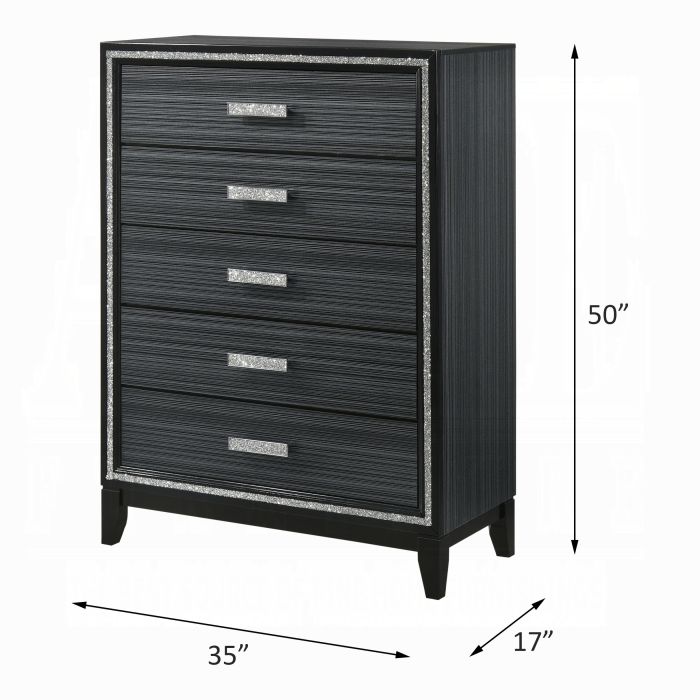 Haiden Chest