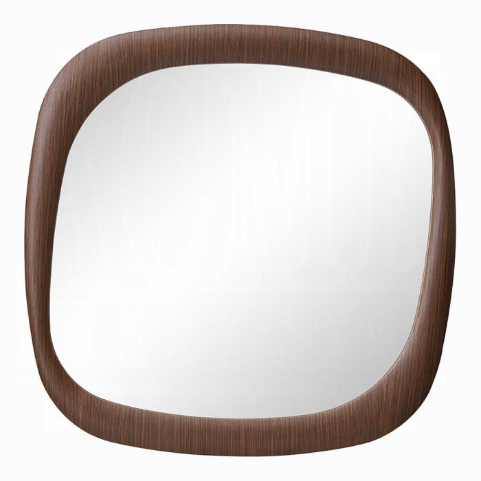 Dana Accent Mirror