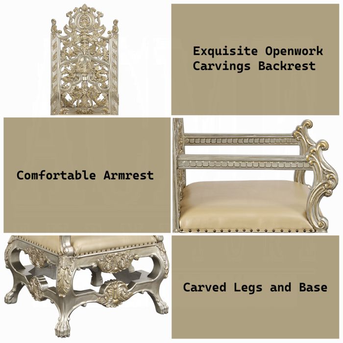 Danae Arm Chair (Set-2)