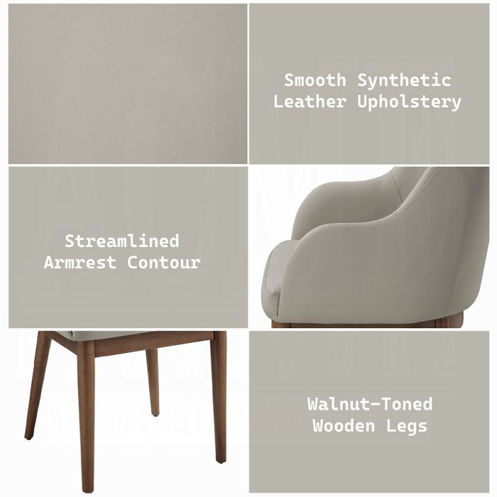 Harvey Side Chair (Set-2)