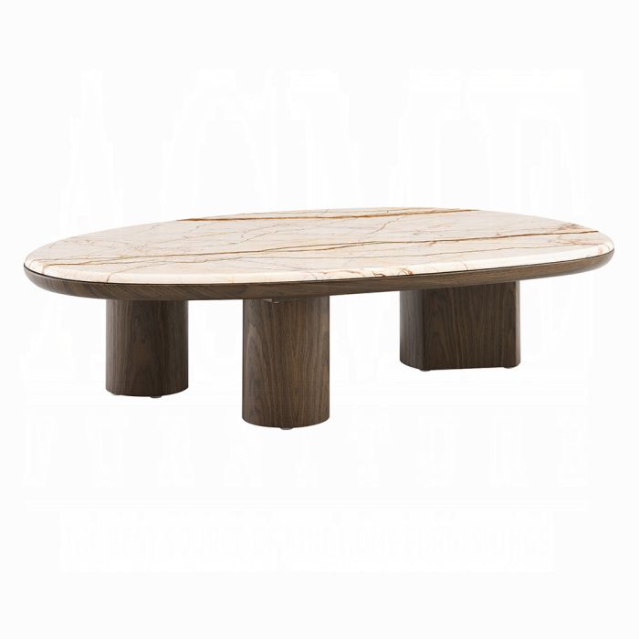 Haidar Coffee Table w/Natural Marble