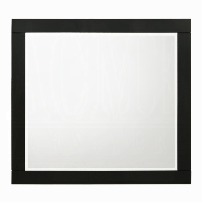 Chelsie Mirror
