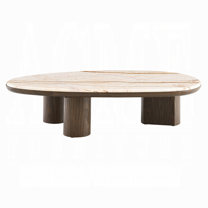 Haidar Coffee Table w/Natural Marble